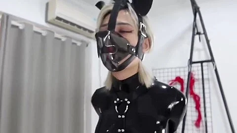 Latex Dog